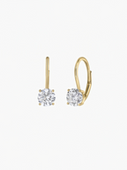Desire Moissanite Hoops