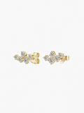 Calista Moissanite Studs