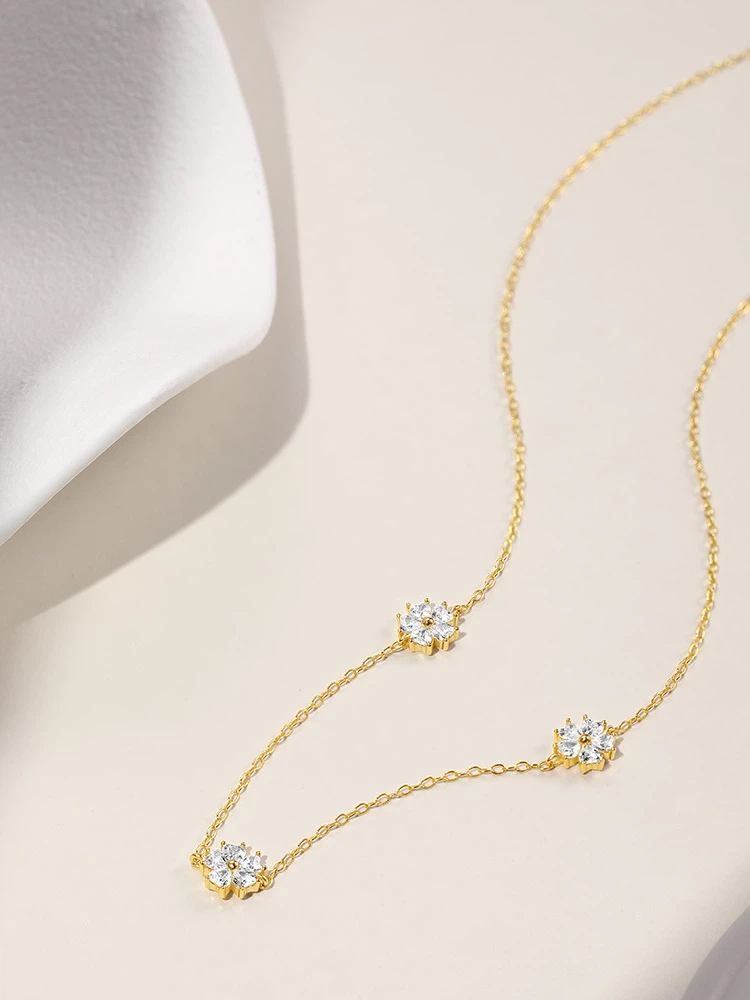 Snow Daisy Set