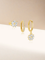Snow Daisy Set